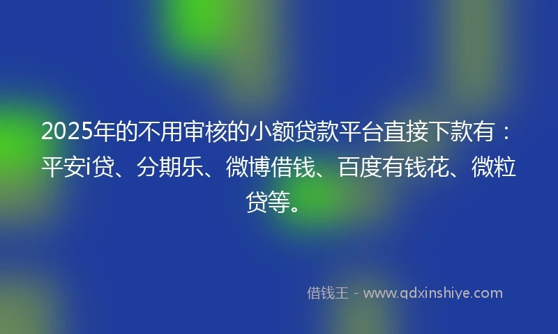 2025年的不用审核的小额贷款平台直接下款有：平安i贷、分期乐、微博借钱、百度有钱花、微粒贷等。