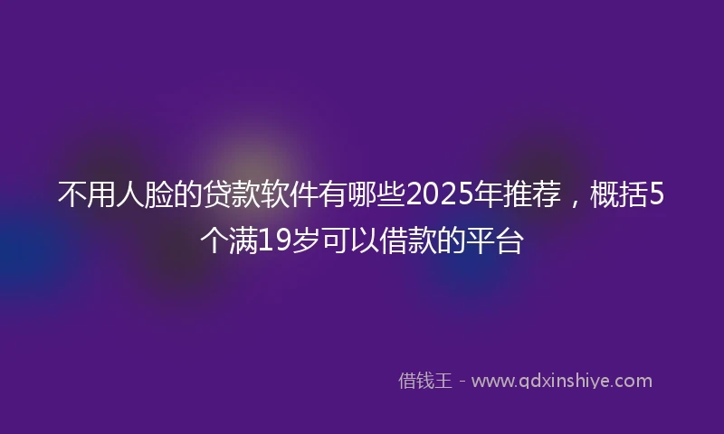 不用人脸的贷款软件有哪些2025年推荐，概括5个满19岁可以借款的平台