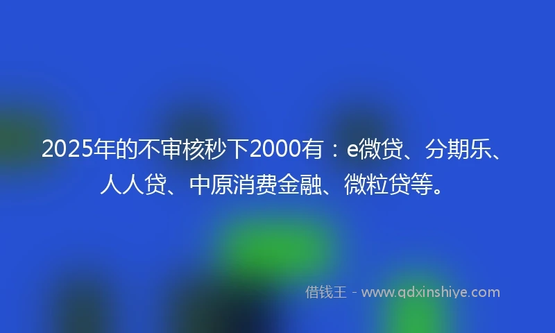 2025年的不审核秒下2000有：e微贷、分期乐、人人贷、中原消费金融、微粒贷等。