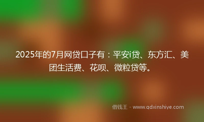 2025年的7月网贷口子有：平安i贷、东方汇、美团生活费、花呗、微粒贷等。