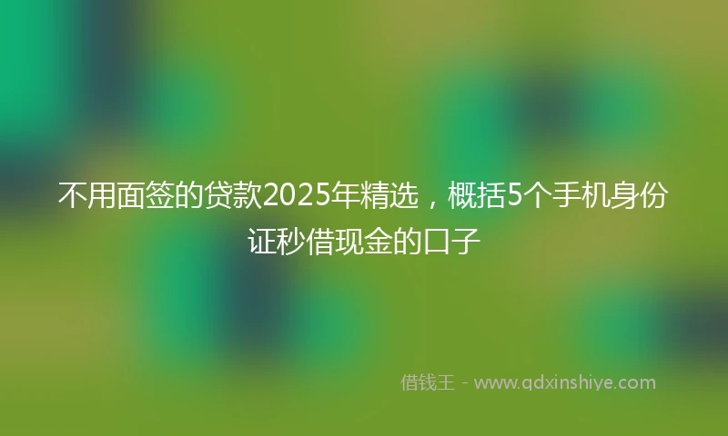 不用面签的贷款2025年精选，概括5个手机身份证秒借现金的口子