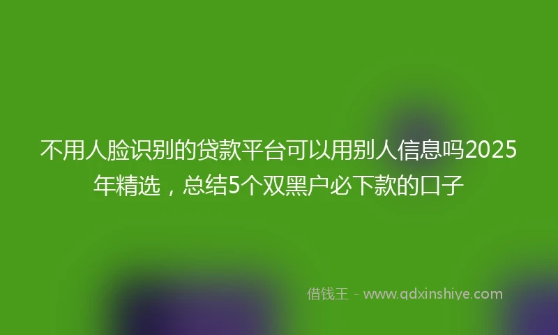 不用人脸识别的贷款平台可以用别人信息吗2025年精选，总结5个双黑户必下款的口子