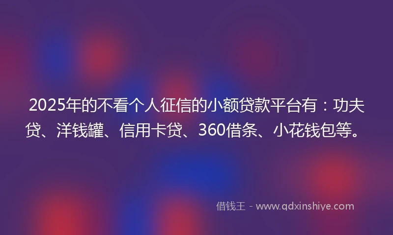 2025年的不看个人征信的小额贷款平台有：功夫贷、洋钱罐、信用卡贷、360借条、小花钱包等。