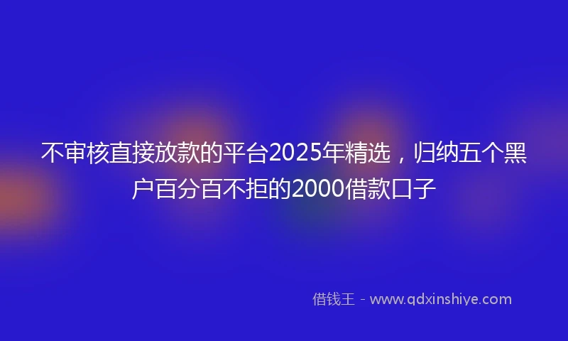 不审核直接放款的平台2025年精选,归纳五个黑户百分百不拒的2000借款口子