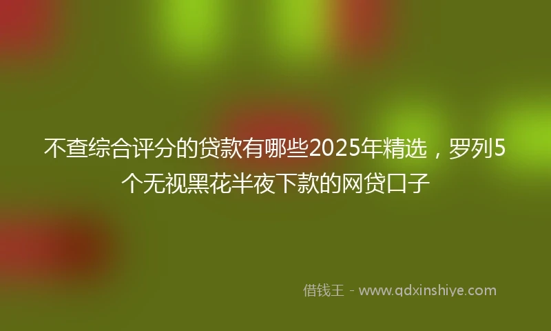 不查综合评分的贷款有哪些2025年精选，罗列5个无视黑花半夜下款的网贷口子