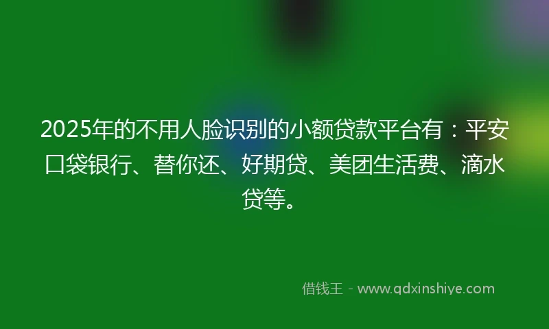 2025年的不用人脸识别的小额贷款平台有：平安口袋银行、替你还、好期贷、美团生活费、滴水贷等。