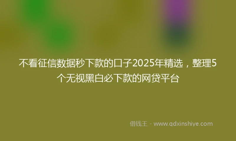 不看征信数据秒下款的口子2025年精选，整理5个无视黑白必下款的网贷平台