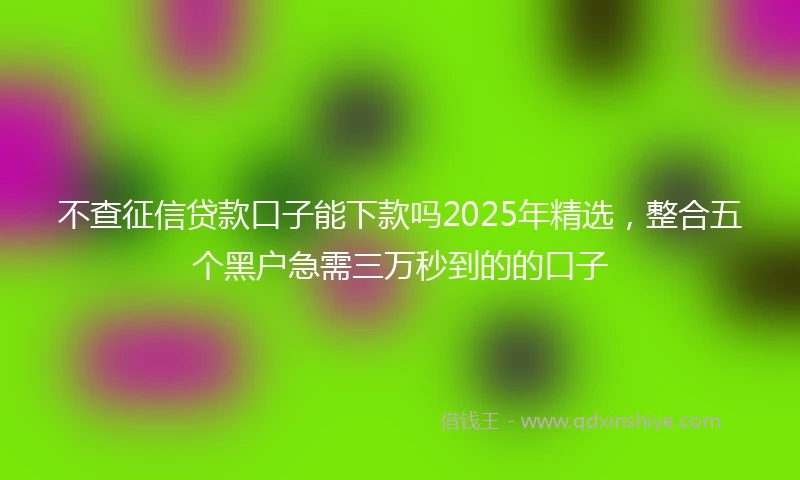 不查征信贷款口子能下款吗2025年精选，整合五个黑户急需三万秒到的的口子