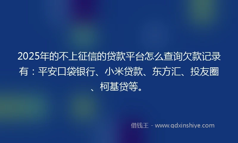 2025年的不上征信的贷款平台怎么查询欠款记录有：平安口袋银行、小米贷款、东方汇、投友圈、柯基贷等。
