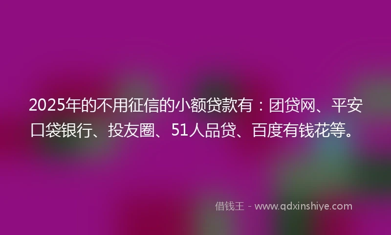 2025年的不用征信的小额贷款有：团贷网、平安口袋银行、投友圈、51人品贷、百度有钱花等。