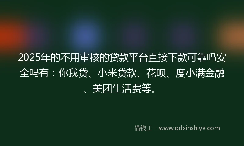 2025年的不用审核的贷款平台直接下款可靠吗安全吗有：你我贷、小米贷款、花呗、度小满金融、美团生活费等。