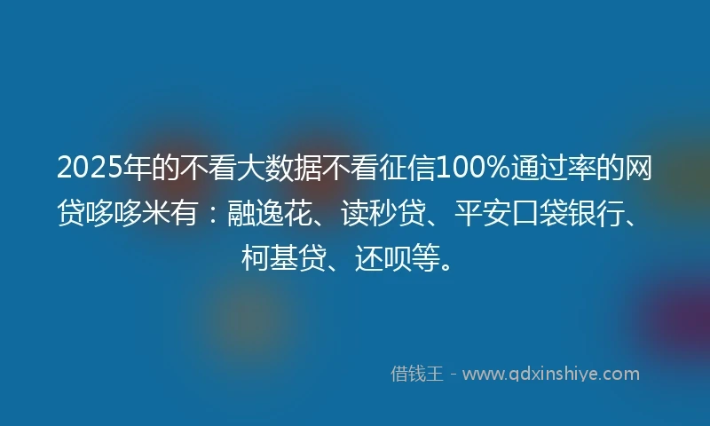 2025年的不看大数据不看征信100%通过率的网贷哆哆米有：融逸花、读秒贷、平安口袋银行、柯基贷、还呗等。