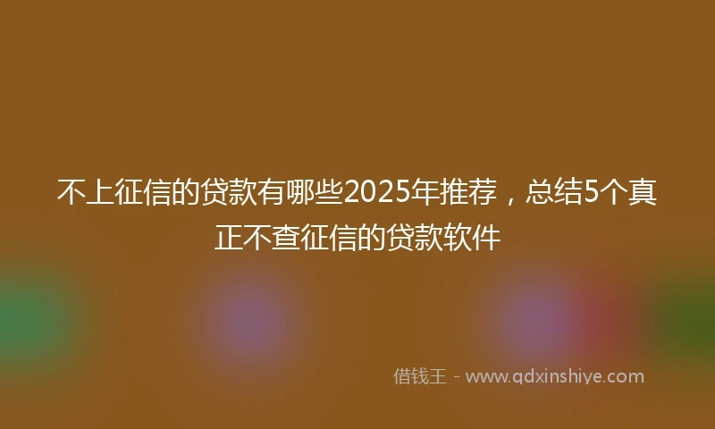 不上征信的贷款有哪些2025年推荐，总结5个真正不查征信的贷款软件