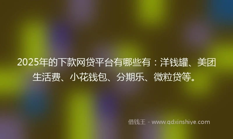 2025年的下款网贷平台有哪些有：洋钱罐、美团生活费、小花钱包、分期乐、微粒贷等。