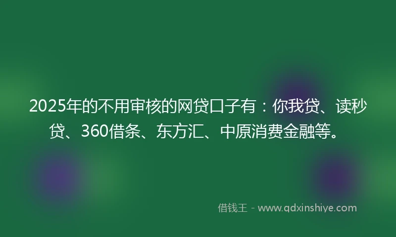 2025年的不用审核的网贷口子有：你我贷、读秒贷、360借条、东方汇、中原消费金融等。