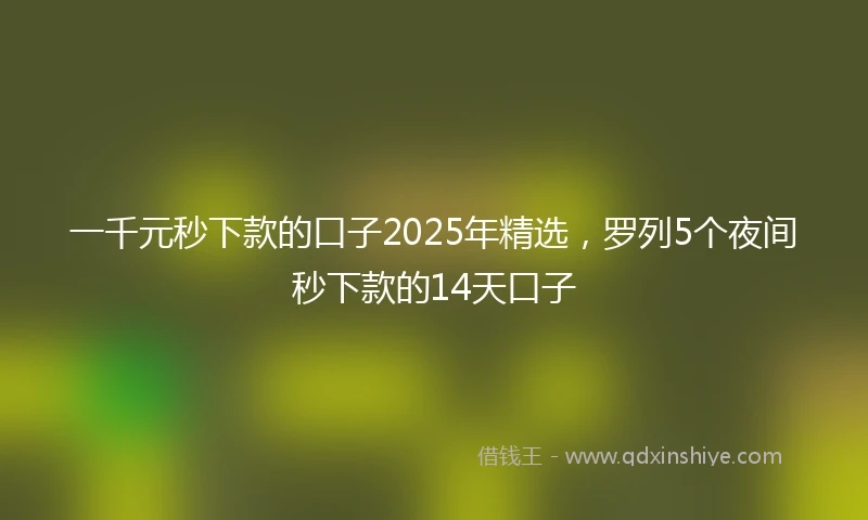 一千元秒下款的口子2025年精选，罗列5个夜间秒下款的14天口子