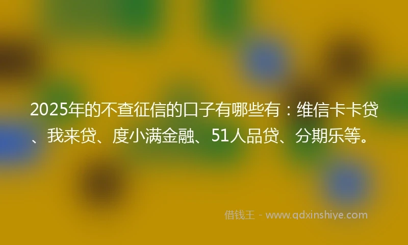 2025年的不查征信的口子有哪些有：维信卡卡贷、我来贷、度小满金融、51人品贷、分期乐等。