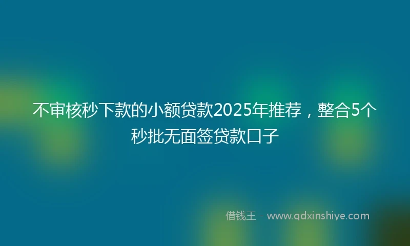不审核秒下款的小额贷款2025年推荐，整合5个秒批无面签贷款口子