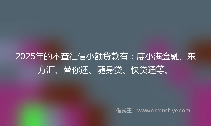 2025年的不查征信小额贷款有：度小满金融、东方汇、替你还、随身贷、快贷通等。