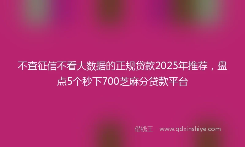 不查征信不看大数据的正规贷款2025年推荐，盘点5个秒下700芝麻分贷款平台