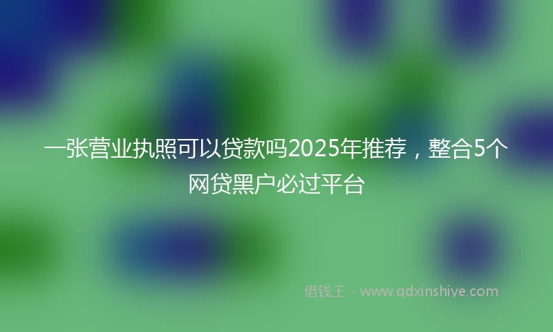 一张营业执照可以贷款吗2025年推荐，整合5个网贷黑户必过平台