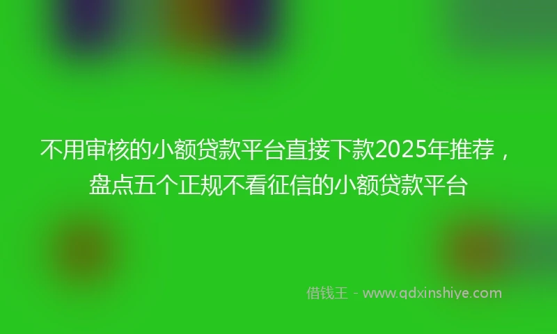不用审核的小额贷款平台直接下款2025年推荐，盘点五个正规不看征信的小额贷款平台