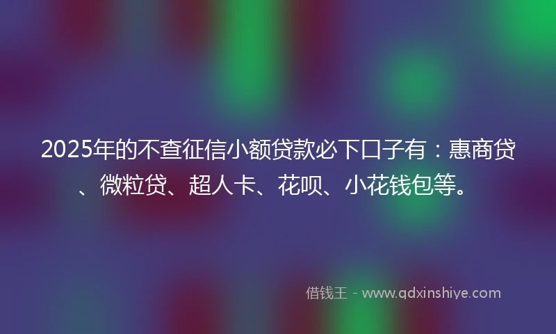 2025年的不查征信小额贷款必下口子有：惠商贷、微粒贷、超人卡、花呗、小花钱包等。