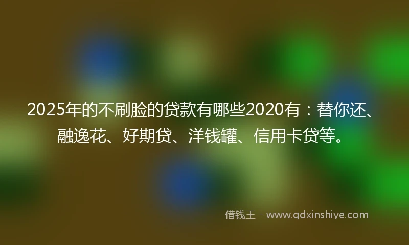 2025年的不刷脸的贷款有哪些2020有：替你还、融逸花、好期贷、洋钱罐、信用卡贷等。