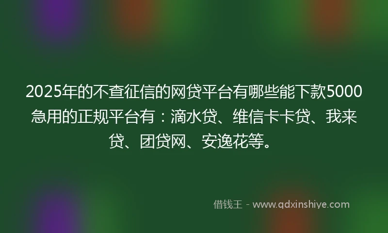 2025年的不查征信的网贷平台有哪些能下款5000急用的正规平台有：滴水贷、维信卡卡贷、我来贷、团贷网、安逸花等。