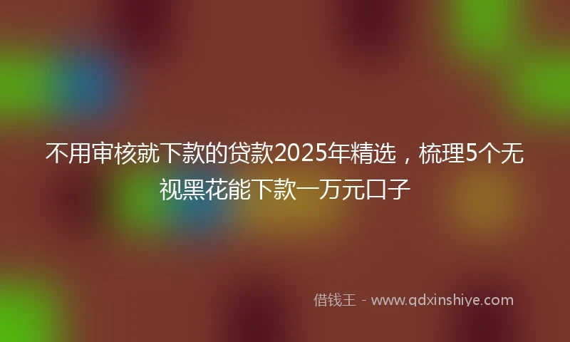 不用审核就下款的贷款2025年精选，梳理5个无视黑花能下款一万元口子