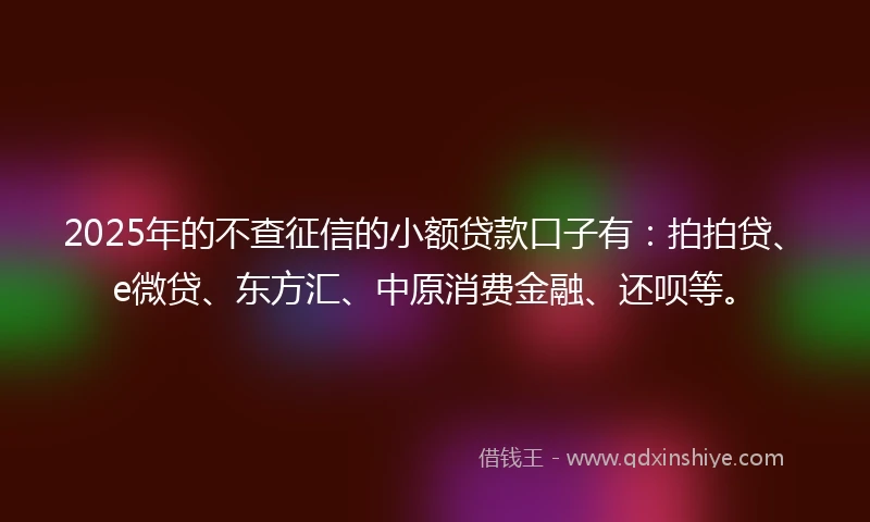 2025年的不查征信的小额贷款口子有：拍拍贷、e微贷、东方汇、中原消费金融、还呗等。