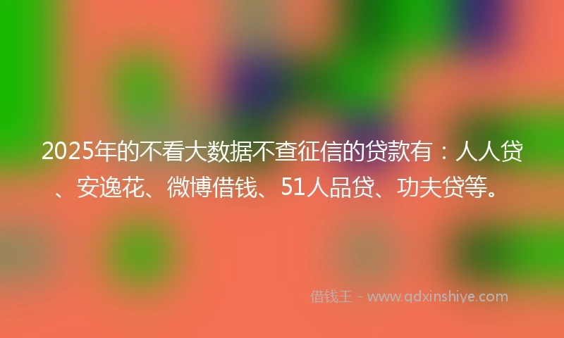2025年的不看大数据不查征信的贷款有：人人贷、安逸花、微博借钱、51人品贷、功夫贷等。