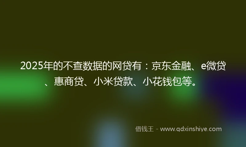 2025年的不查数据的网贷有：京东金融、e微贷、惠商贷、小米贷款、小花钱包等。