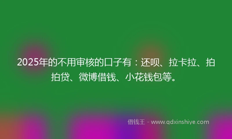 2025年的不用审核的口子有：还呗、拉卡拉、拍拍贷、微博借钱、小花钱包等。