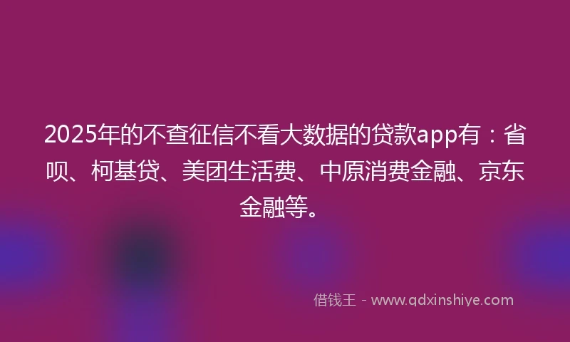 2025年的不查征信不看大数据的贷款app有：省呗、柯基贷、美团生活费、中原消费金融、京东金融等。