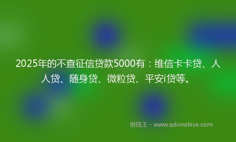 2025年的不查征信贷款5000有：维信卡卡贷、人人贷、随身贷、微粒贷、平安i贷等。