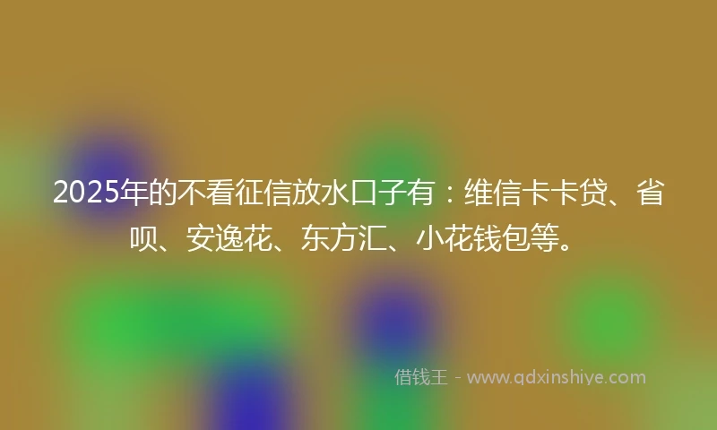 2025年的不看征信放水口子有：维信卡卡贷、省呗、安逸花、东方汇、小花钱包等。