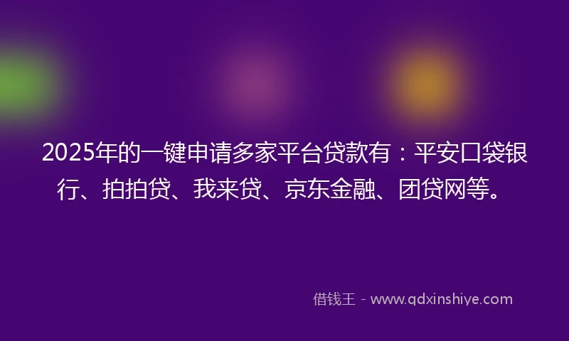 2025年的一键申请多家平台贷款有：平安口袋银行、拍拍贷、我来贷、京东金融、团贷网等。