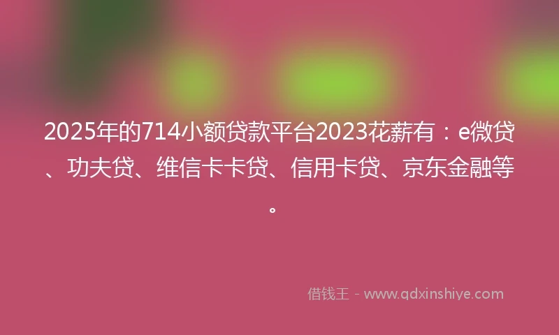 2025年的714小额贷款平台2023花薪有：e微贷、功夫贷、维信卡卡贷、信用卡贷、京东金融等。