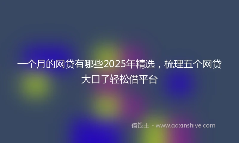 一个月的网贷有哪些2025年精选，梳理五个网贷大口子轻松借平台