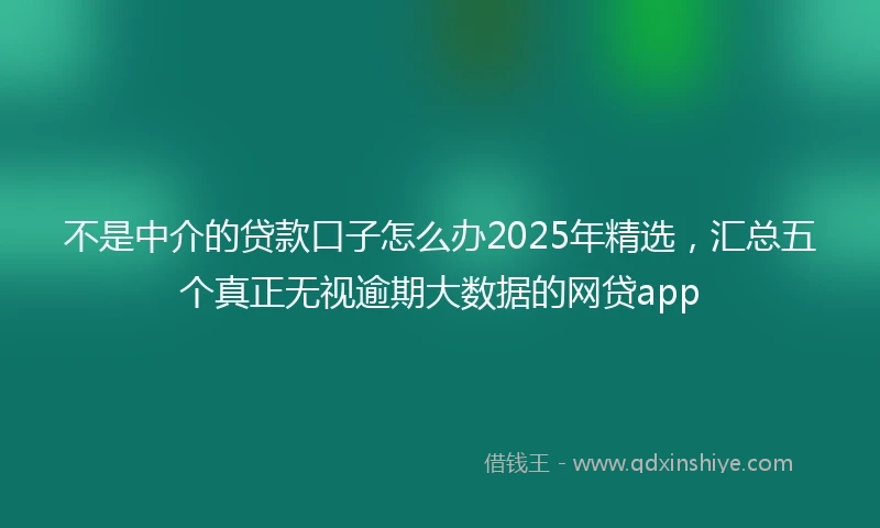 不是中介的贷款口子怎么办2025年精选，汇总五个真正无视逾期大数据的网贷app