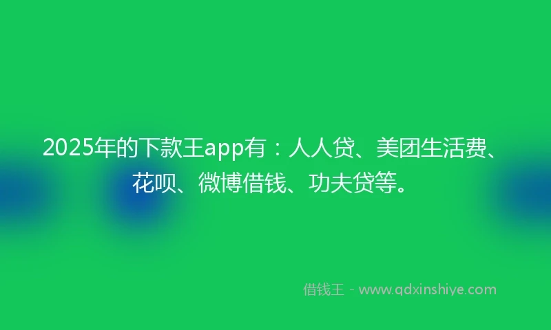 2025年的下款王app有：人人贷、美团生活费、花呗、微博借钱、功夫贷等。