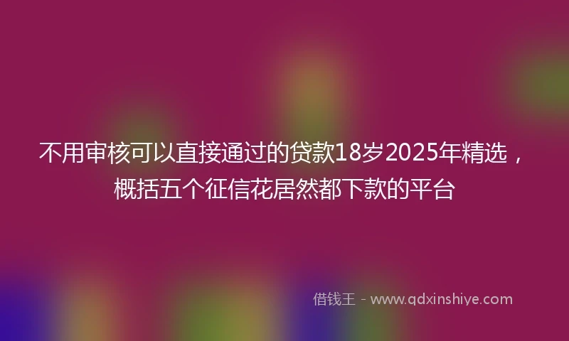 不用审核可以直接通过的贷款18岁2025年精选，概括五个征信花居然都下款的平台