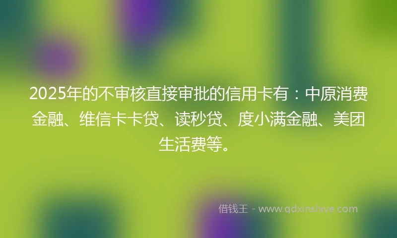 2025年的不审核直接审批的信用卡有:中原消费金融、维信卡卡贷、读秒贷、度小满金融、美团生活费等。