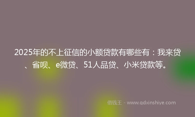 2025年的不上征信的小额贷款有哪些有：我来贷、省呗、e微贷、51人品贷、小米贷款等。