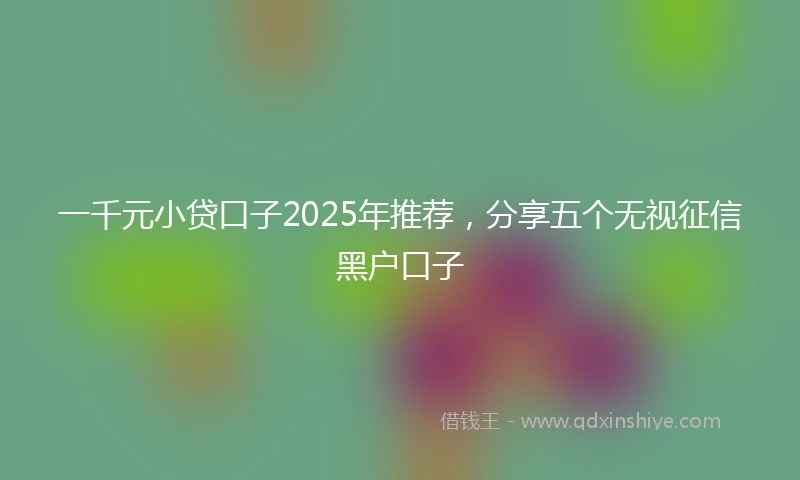 一千元小贷口子2025年推荐，分享五个无视征信黑户口子