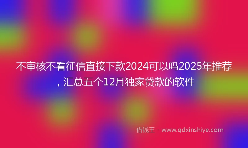 不审核不看征信直接下款2024可以吗2025年推荐，汇总五个12月独家贷款的软件