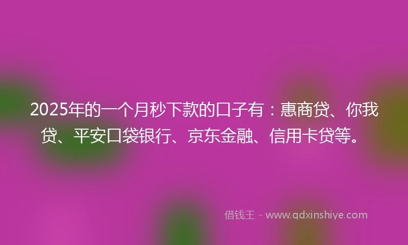 2025年的一个月秒下款的口子有：惠商贷、你我贷、平安口袋银行、京东金融、信用卡贷等。
