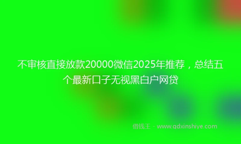 不审核直接放款20000微信2025年推荐，总结五个最新口子无视黑白户网贷