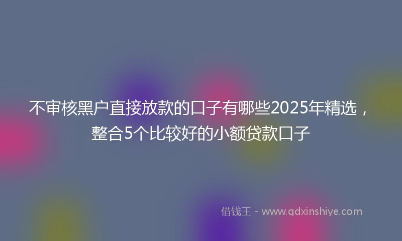 不审核黑户直接放款的口子有哪些2025年精选，整合5个比较好的小额贷款口子